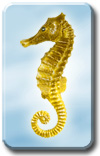 Epson R340 Seahorse compatible